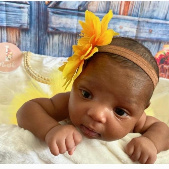 Live show - Picture 4 of 11